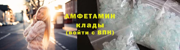 прущие грибы Вязники