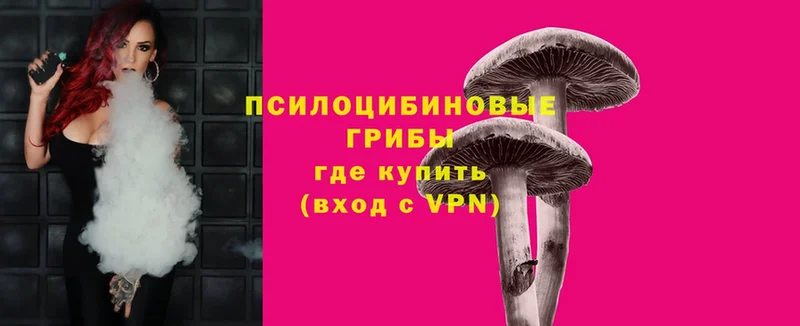 МЕГА вход  Дмитриев  Псилоцибиновые грибы Magic Shrooms 